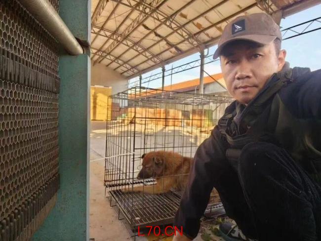 花8000元找猫 结果就在屋里 寻宠争议再起