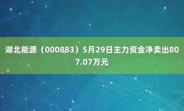 湖北能源（000883）5月29日主力资金净卖出807.07万元