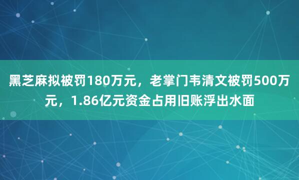 黑芝麻拟被罚180万元，老掌门韦清文被罚500万元，1.86亿元资金占用旧账浮出水面
