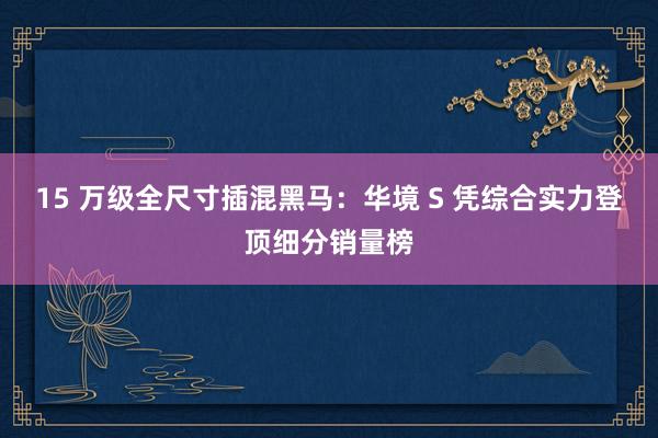15 万级全尺寸插混黑马：华境 S 凭综合实力登顶细分销量榜