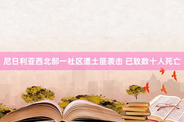 尼日利亚西北部一社区遭土匪袭击 已致数十人死亡