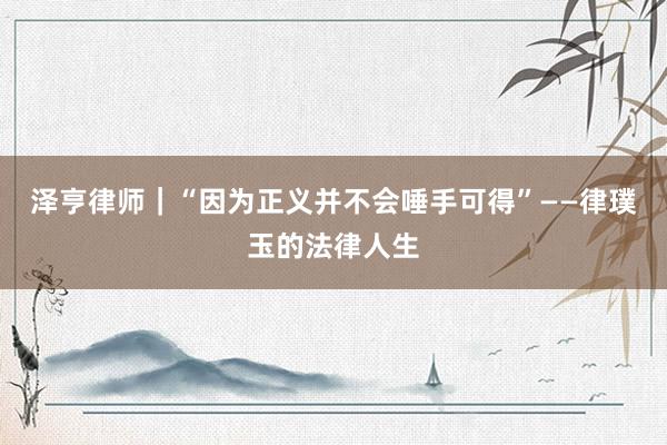 泽亨律师｜“因为正义并不会唾手可得”——律璞玉的法律人生