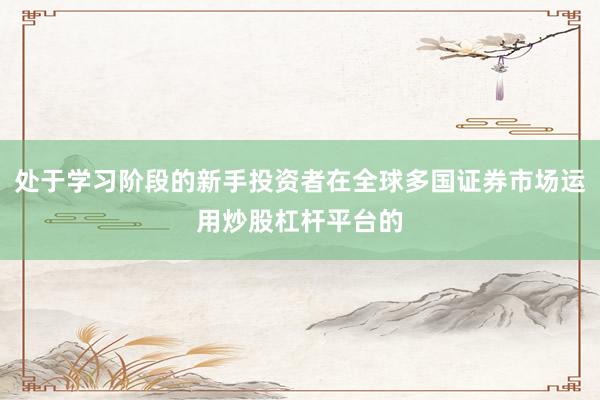处于学习阶段的新手投资者在全球多国证券市场运用炒股杠杆平台的