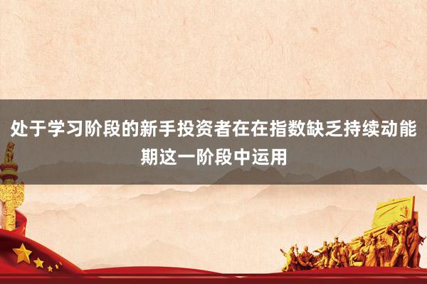 处于学习阶段的新手投资者在在指数缺乏持续动能期这一阶段中运用