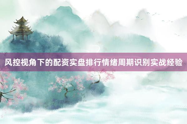 风控视角下的配资实盘排行情绪周期识别实战经验