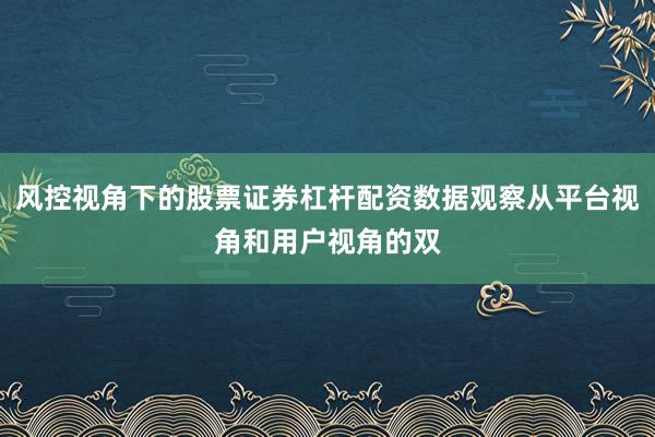 风控视角下的股票证券杠杆配资数据观察从平台视角和用户视角的双