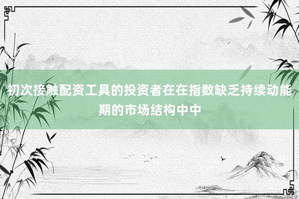 初次接触配资工具的投资者在在指数缺乏持续动能期的市场结构中中