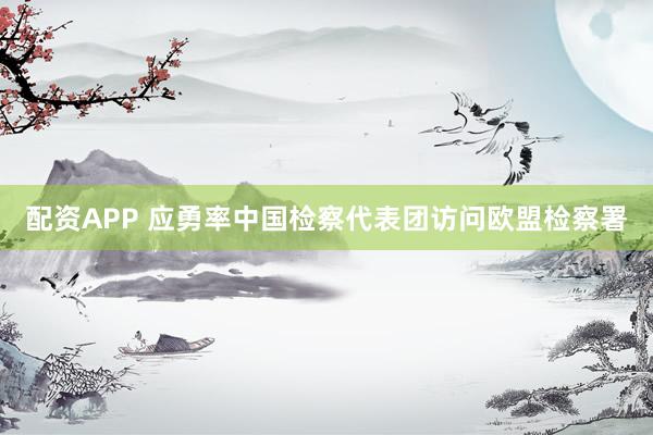 配资APP 应勇率中国检察代表团访问欧盟检察署