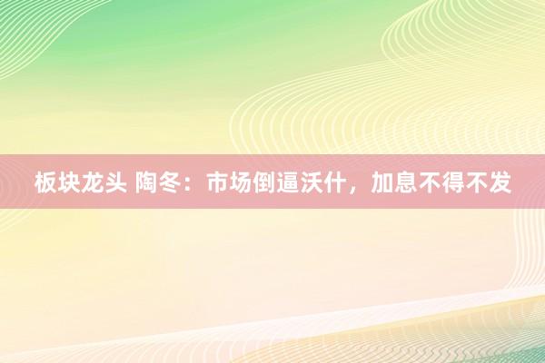 板块龙头 陶冬：市场倒逼沃什，加息不得不发