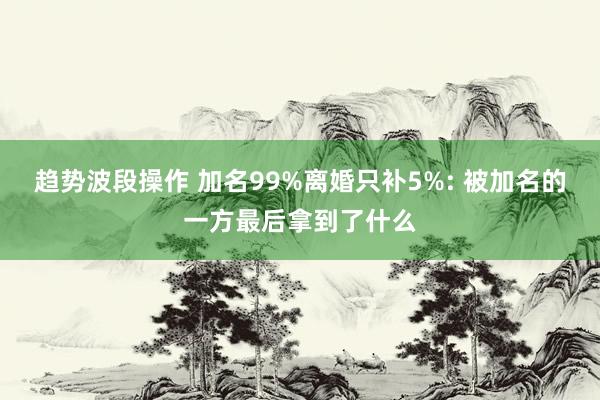 趋势波段操作 加名99%离婚只补5%: 被加名的一方最后拿到了什么