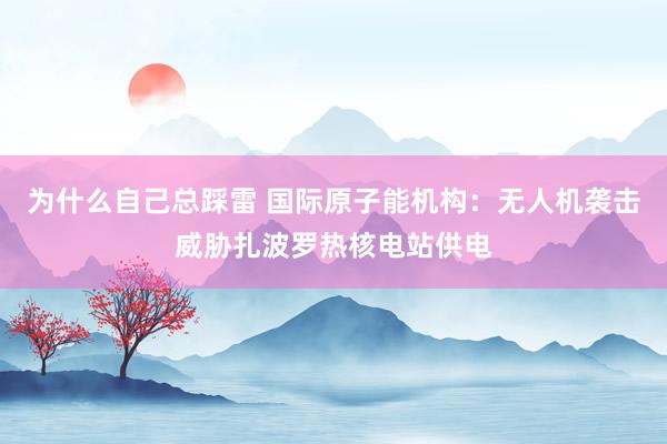 为什么自己总踩雷 国际原子能机构：无人机袭击威胁扎波罗热核电站供电