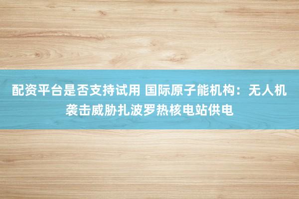 配资平台是否支持试用 国际原子能机构：无人机袭击威胁扎波罗热核电站供电