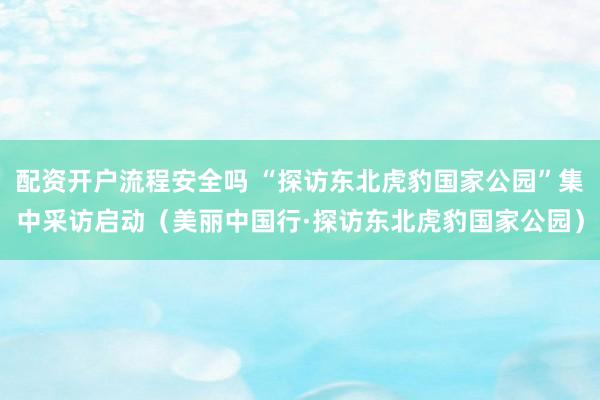 配资开户流程安全吗 “探访东北虎豹国家公园”集中采访启动（美丽中国行·探访东北虎豹国家公园）