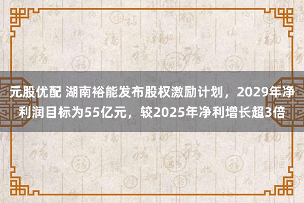 元股优配 湖南裕能发布股权激励计划，2029年净利润目标为55亿元，较2025年净利增长超3倍