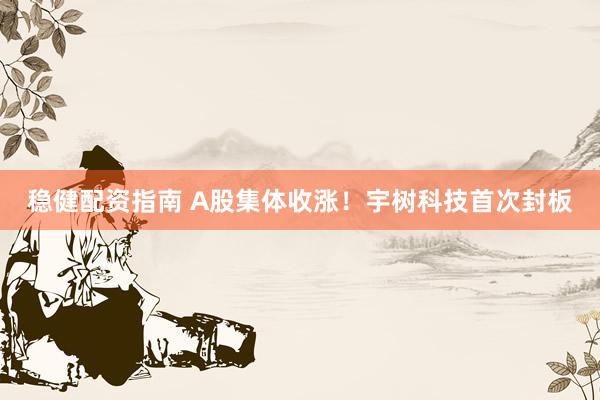 稳健配资指南 A股集体收涨！宇树科技首次封板