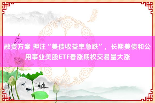 融资方案 押注“美债收益率急跌”，长期美债和公用事业美股ETF看涨期权交易量大涨
